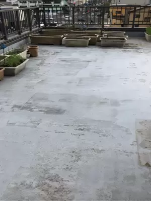 盛岡市　Y邸　屋上防水塗装 Before